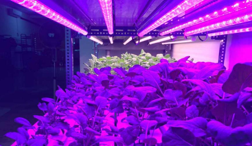 Đèn LED chiếu sáng nhà máy là gì