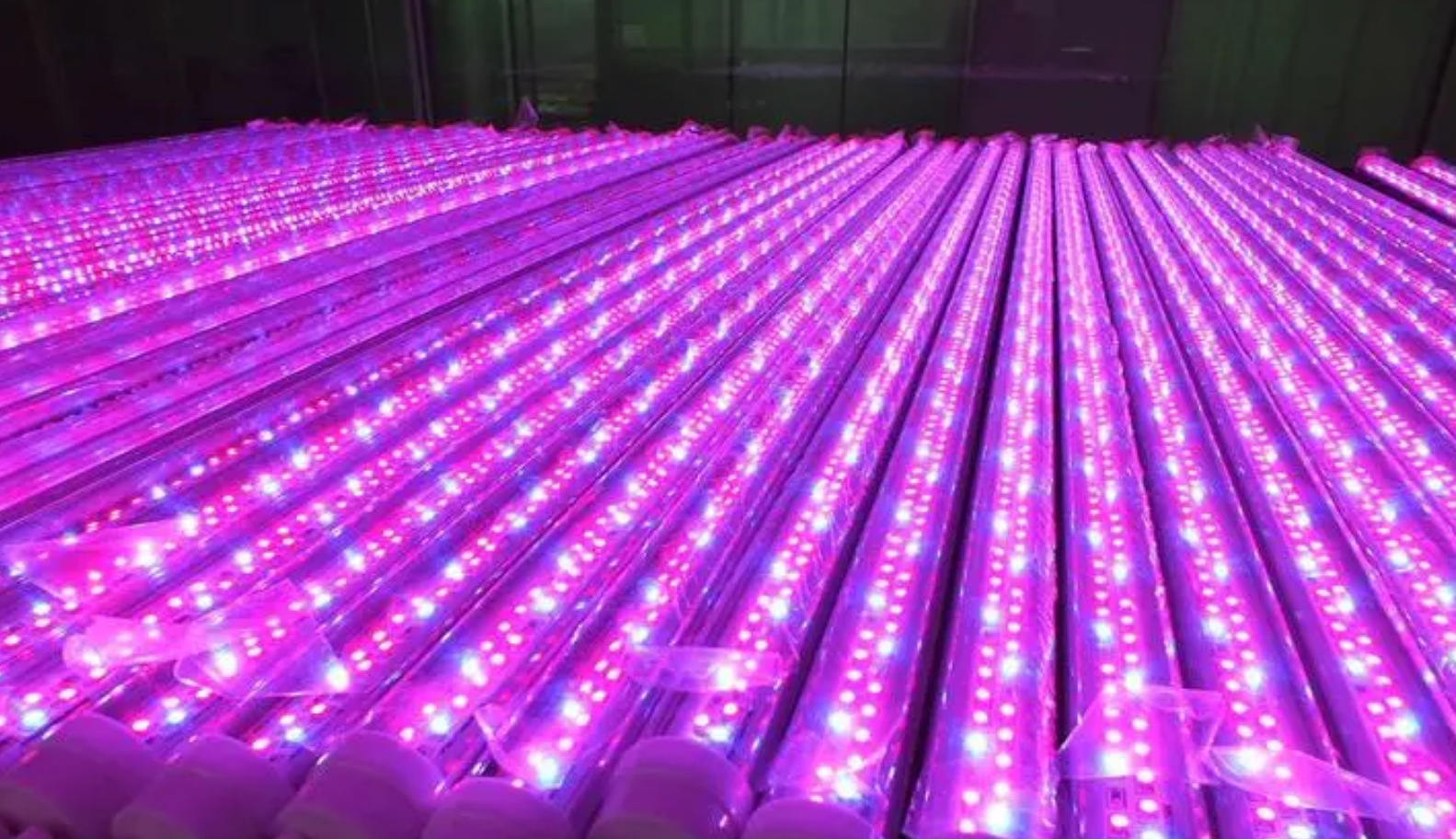 Phân tích thị trường ngành chiếu sáng nhà máy LED của Trung Quốc vào năm 2023